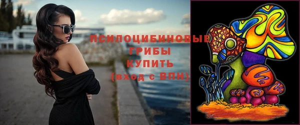 ГАЛЛЮЦИНОГЕННЫЕ ГРИБЫ Зеленодольск