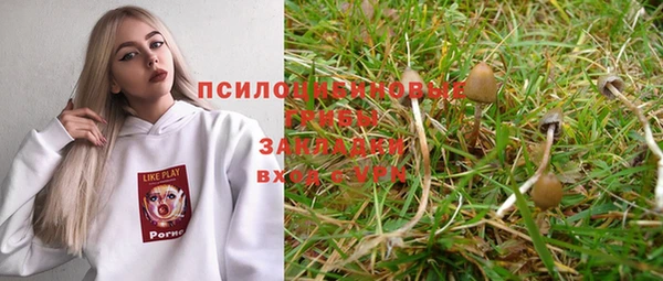 дживик Зеленокумск