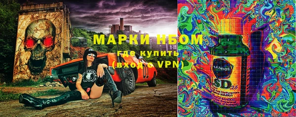 ГАЛЛЮЦИНОГЕННЫЕ ГРИБЫ Зеленодольск